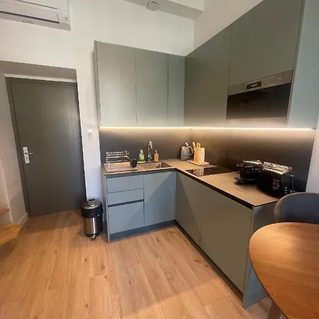 Apartment T2 Beau Duplex Place Garibaldi - Gari107 *